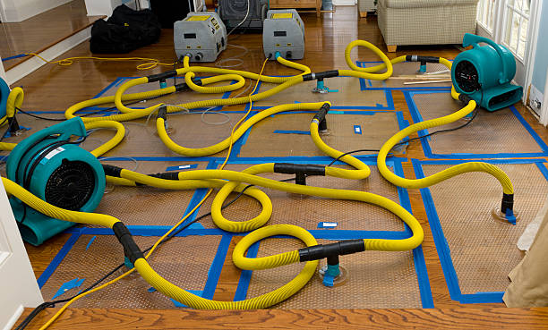 Professional Flood Damage Restoration technician working in Alliance, NE